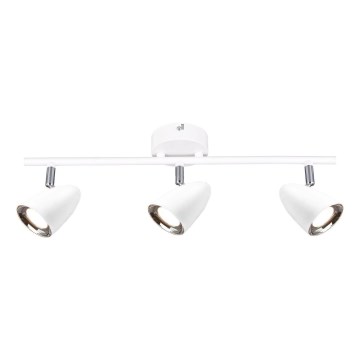 Brilliant - LED Bodové svítidlo AKMA 3xLED/4W/230V bílá